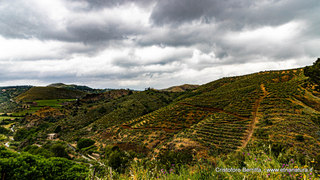 Cunziria di Vizzini